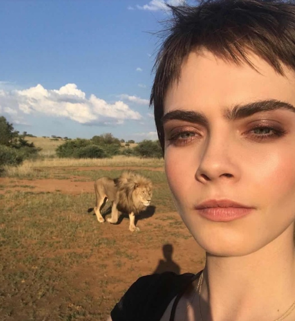 甜！英国贵族超模爱上美国女演员，机场热吻，狂撒狗粮