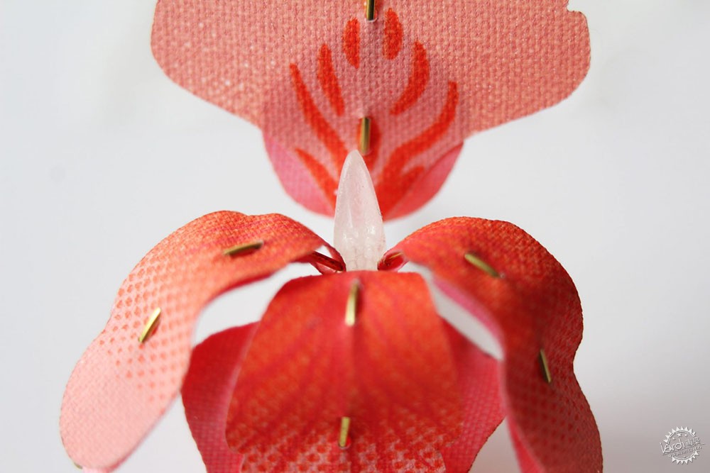 面对城市里日益减少的昆虫，设计师能做些什么？