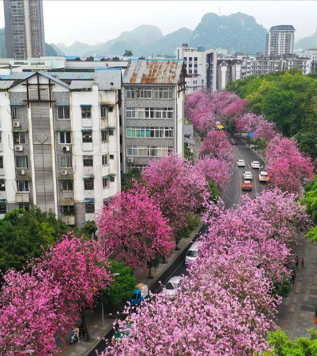 柳州生活是什么样的,在柳州工作的感受