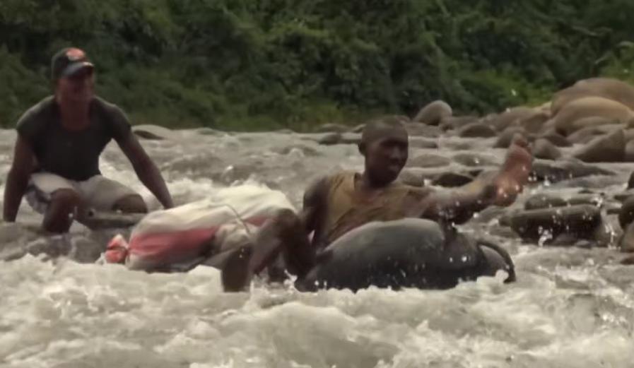 实拍非洲紫檀木*私走**全过程：护林员做*私走**，一根紫檀木赚三万