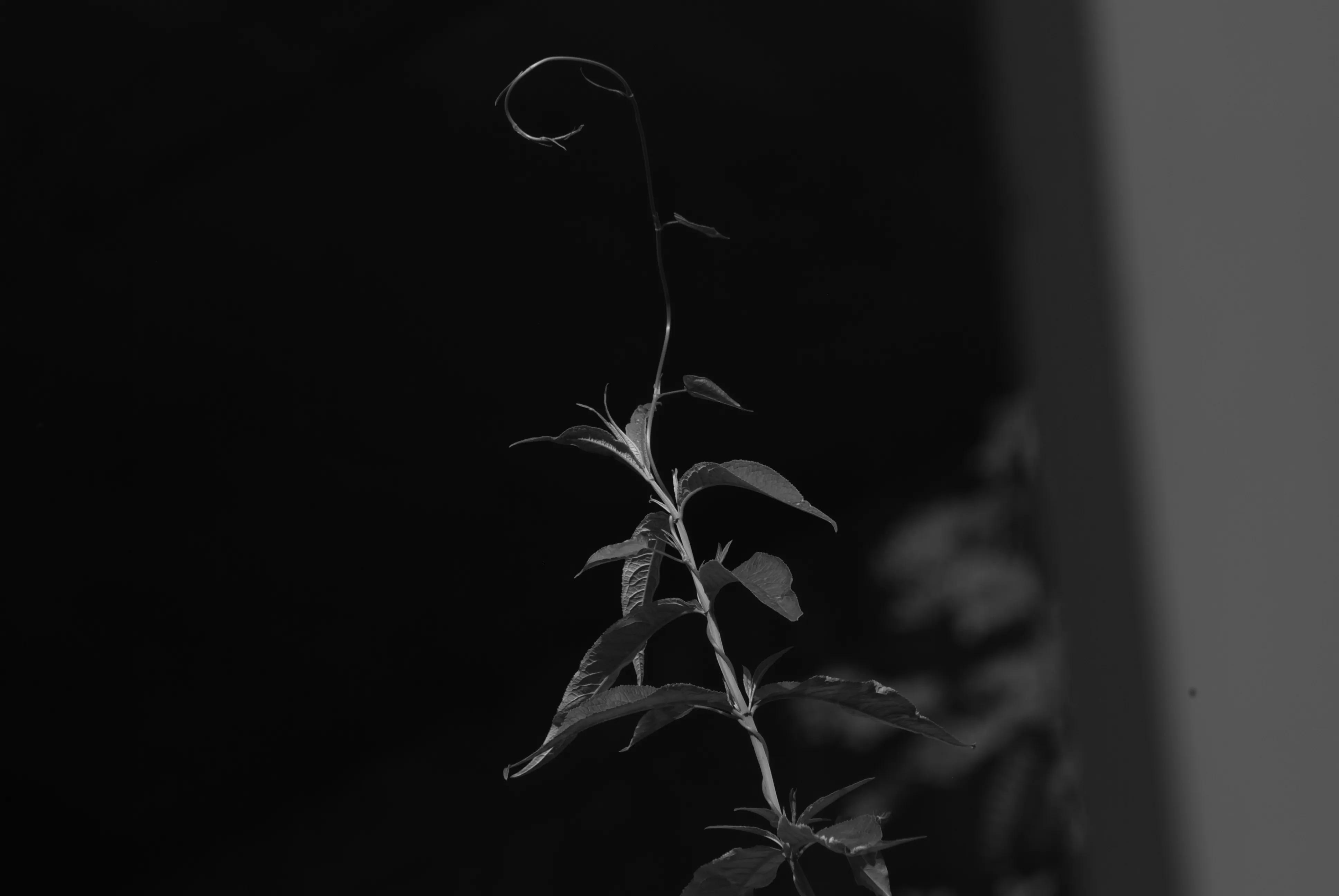 1000元二手全画幅单反相机推荐,2022最建议买的二手单反相机