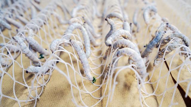 中国最低调小城市,中国最低调小镇