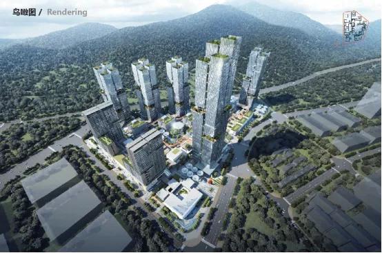 深圳第11区,深圳市第11区