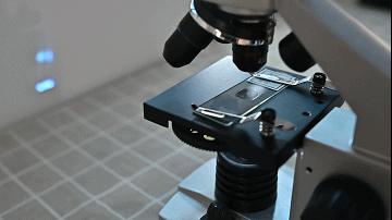 花式搞机:投影仪加上手机投屏秒变显微投影设备