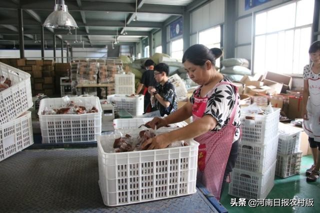 汤阴电商卖货,汤阴县电商平台