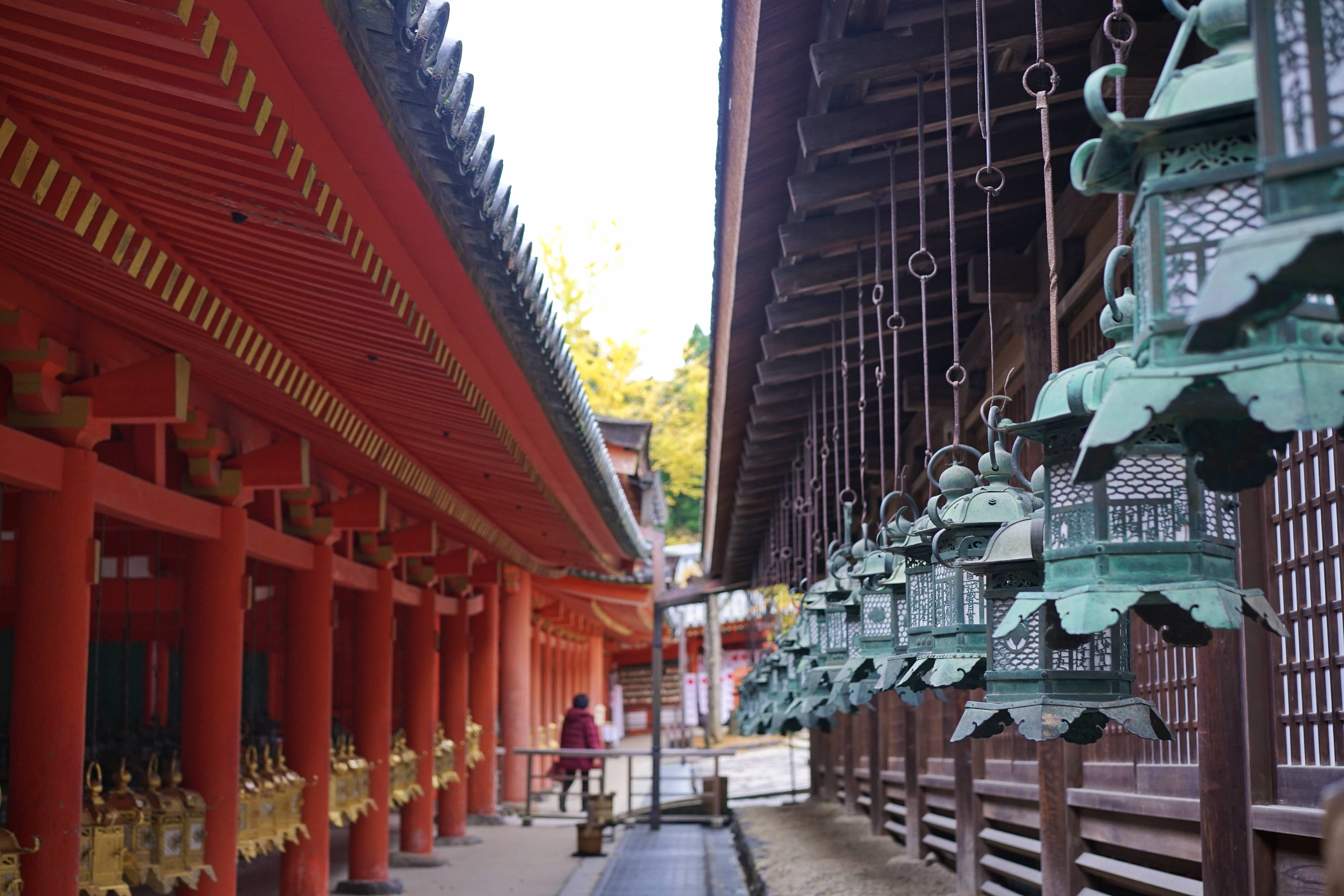 “山川异域，风月同天”雪中送炭的日本风景秀美，你会去旅行吗？