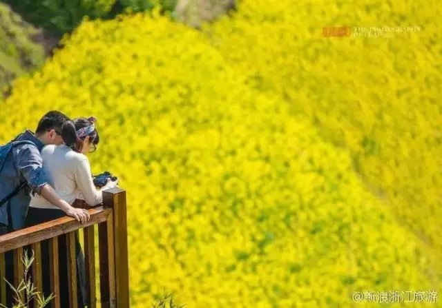 周末玩洱海,假期去大理洱海旅游