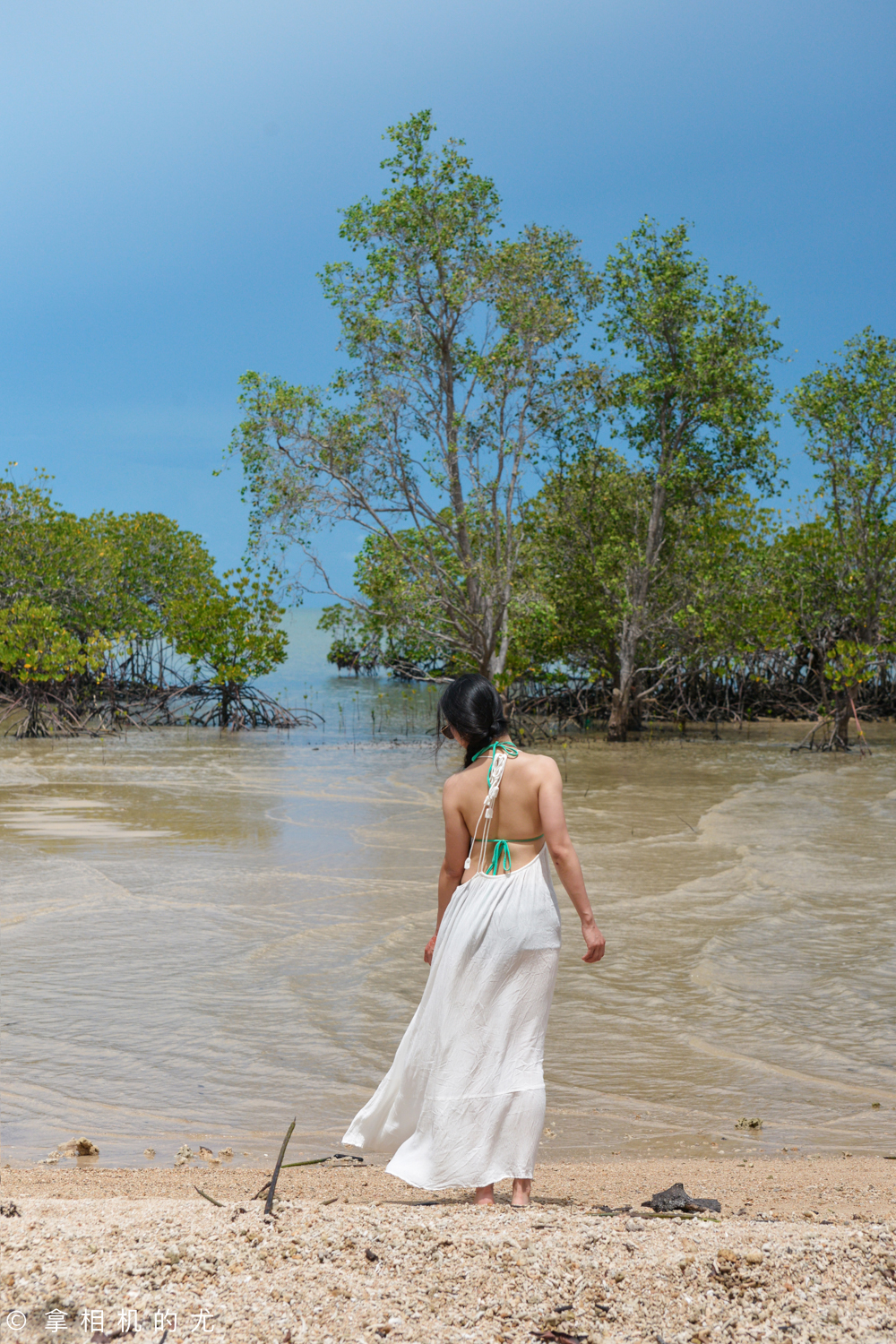 几百元机票飞大马,阿斯顿马丁等你拿