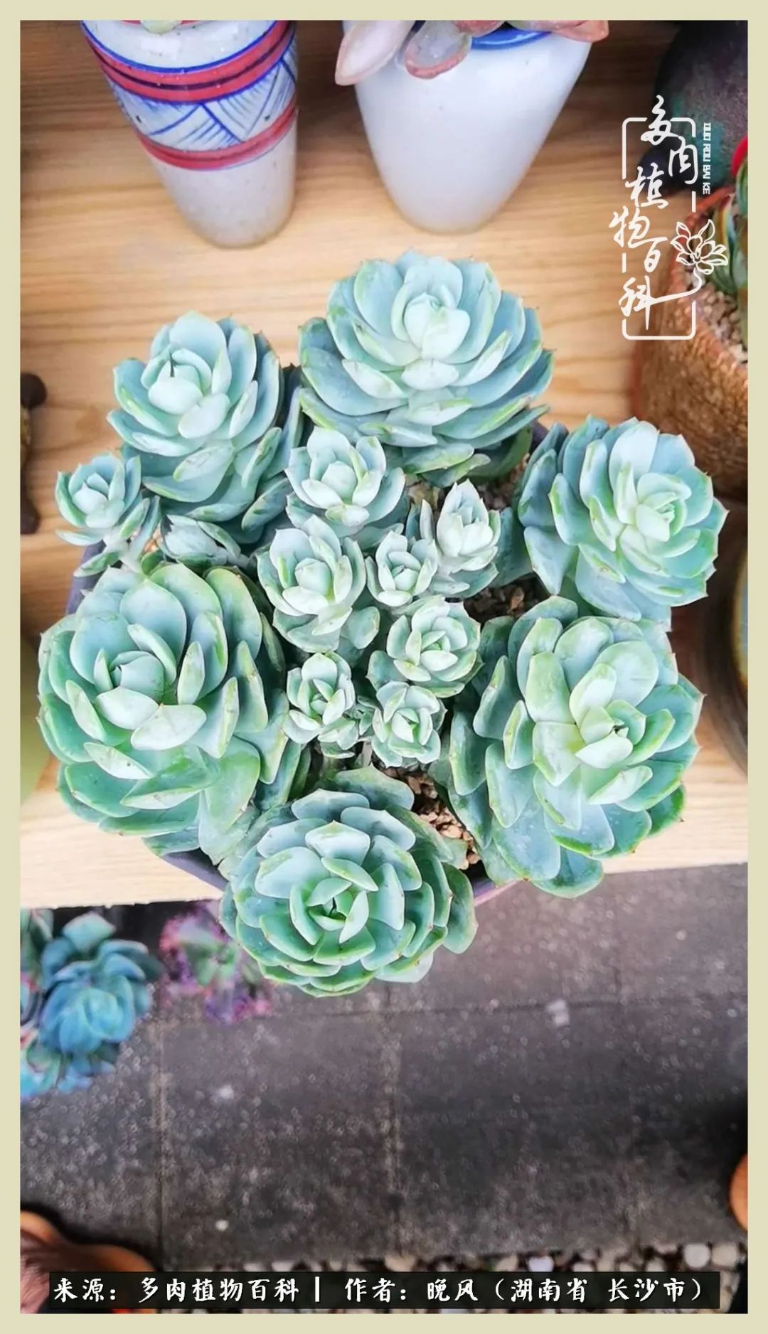 摇身一变成了奶爸,摇身一变成为打工人