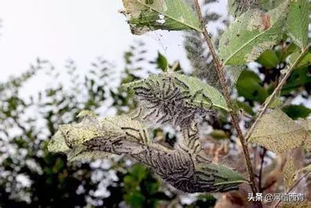 全民国家安全教育日的感受和看法,全民国家安全教育日筑牢国家安全