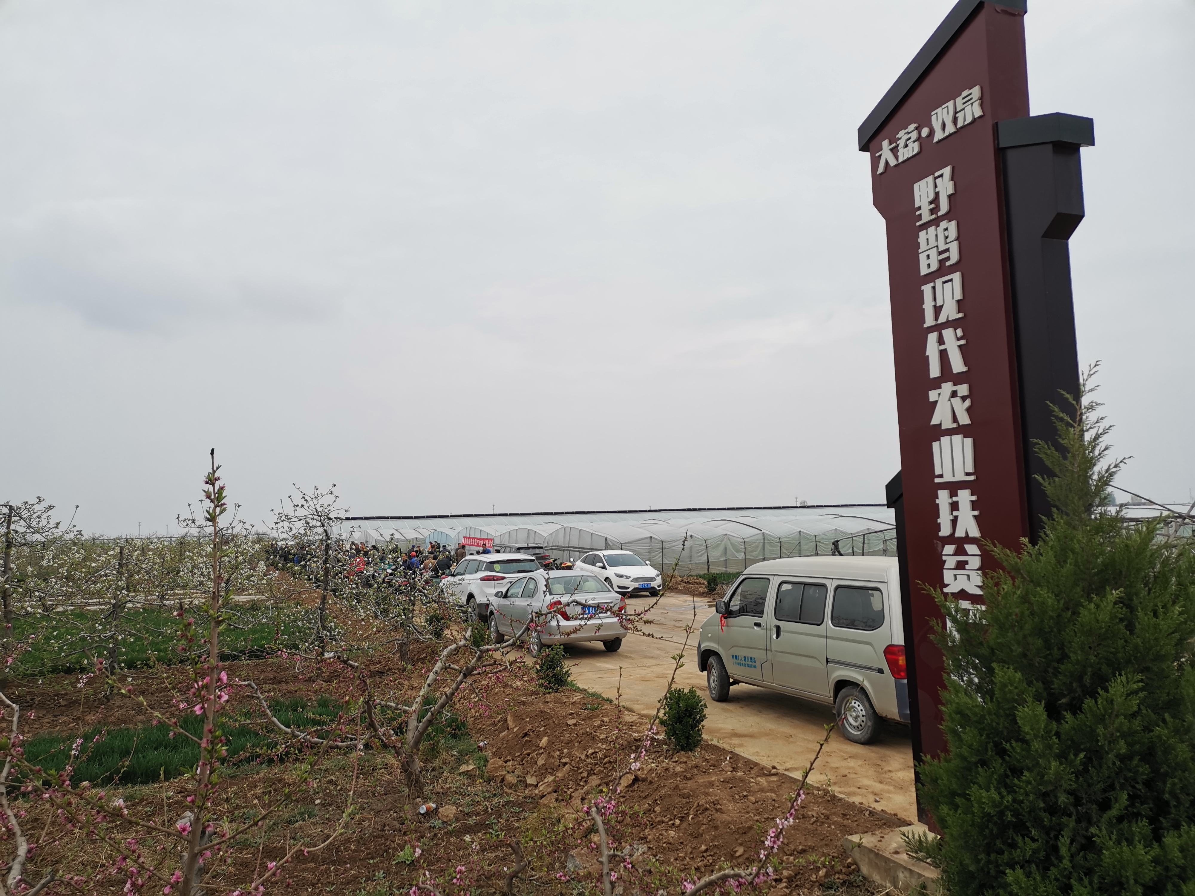 渭南大荔县大风,大荔大风农民自救