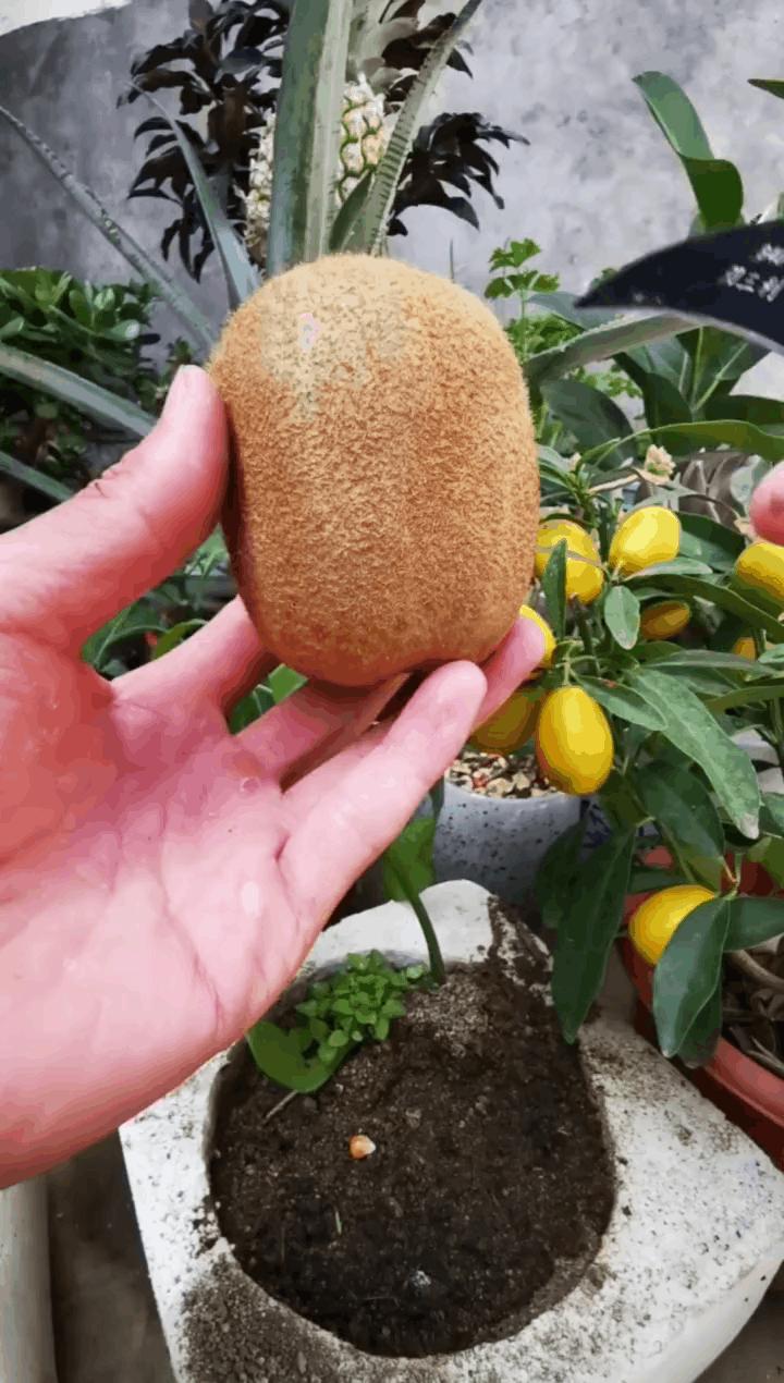 课代表的作业满分,课代表被罚