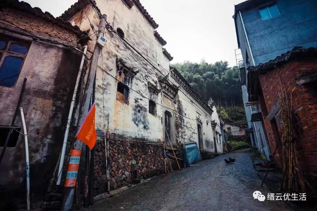 缙云鱼川村:助城隍、捐孔庙,100余年间居然还有40多位秀才~~~