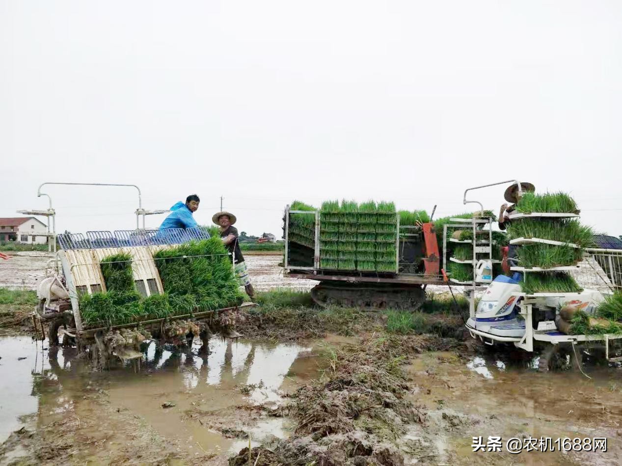 农机合作社插秧机,东风井关插秧机技术核心在哪里
