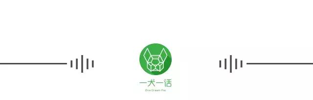 如何缓解宠物离去的悲伤,宠物离去的悲痛