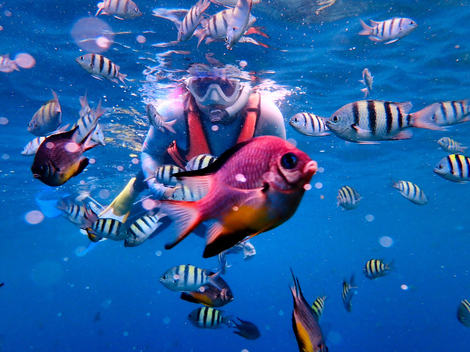 几条建议英文advice,十条小建议