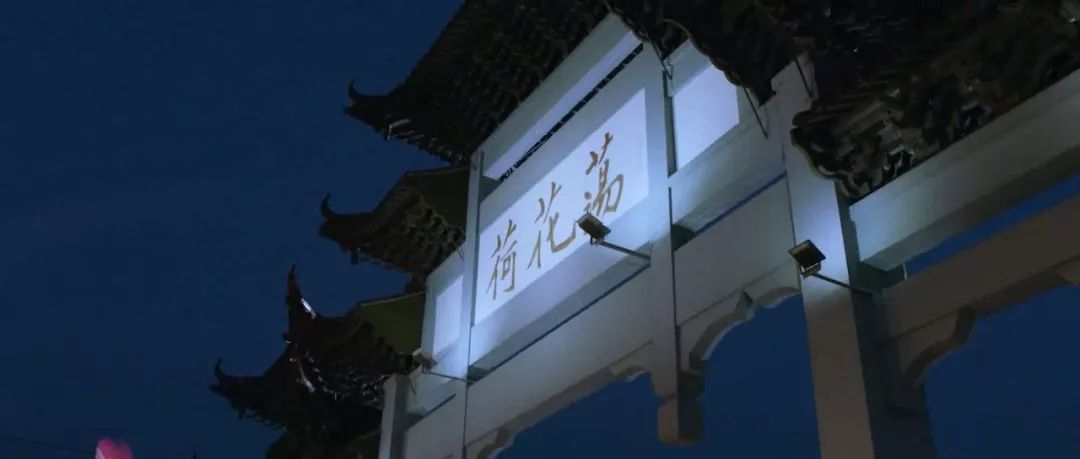 「淮安市作家“相约荷花荡”采风作品展」赵海洋:何不载荷归