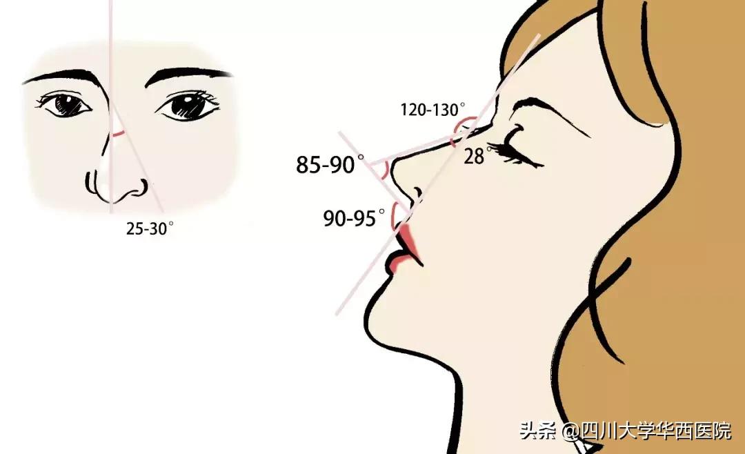 鼻子特别大怎么修,鼻子大如何修鼻子