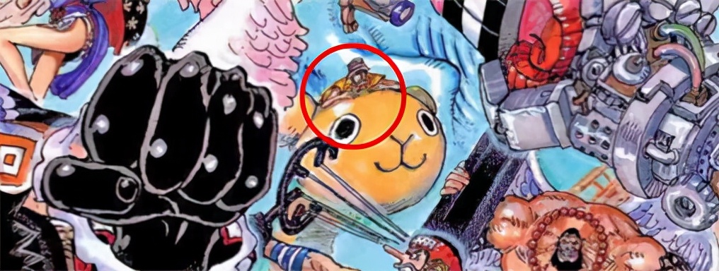 海贼王1025话情报全图,海贼王1045话全图解析