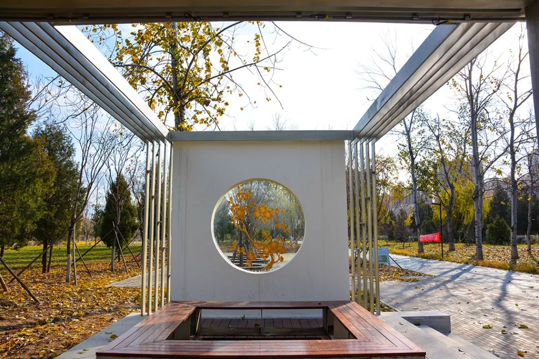 春意盎然北京五大公园,北京区级综合性公园