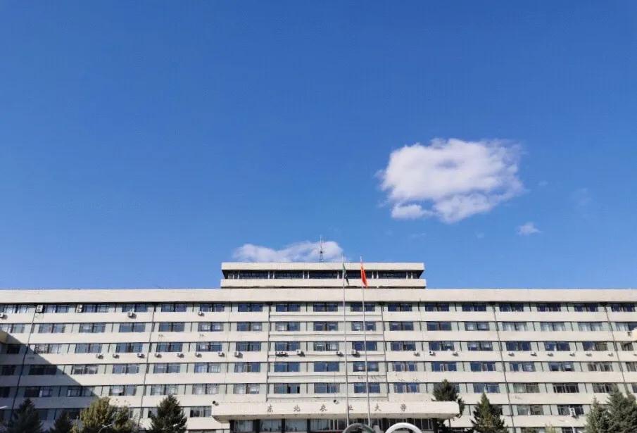 东北农业大学在黑龙江排名第几,黑龙江省前五名的大学