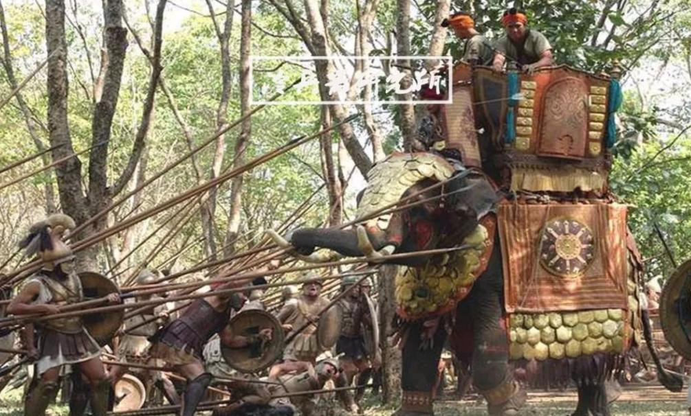 今年最火爆的七星级团综：亚洲象北漂