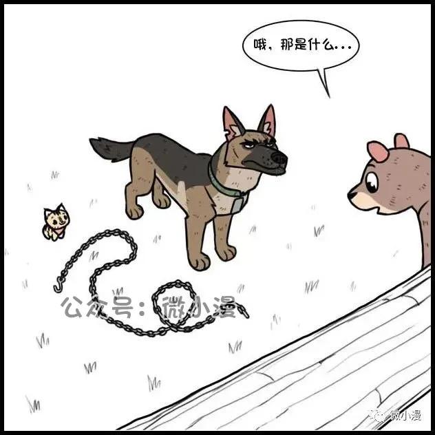 小猫咪欺负大狗漫画,小猫咪欺负大狗漫画暖心
