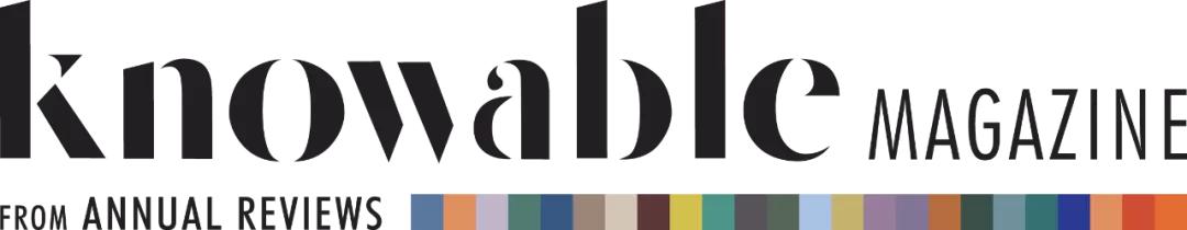 没人爱的苍蝇，原来是益虫欲媲美蜜蜂？