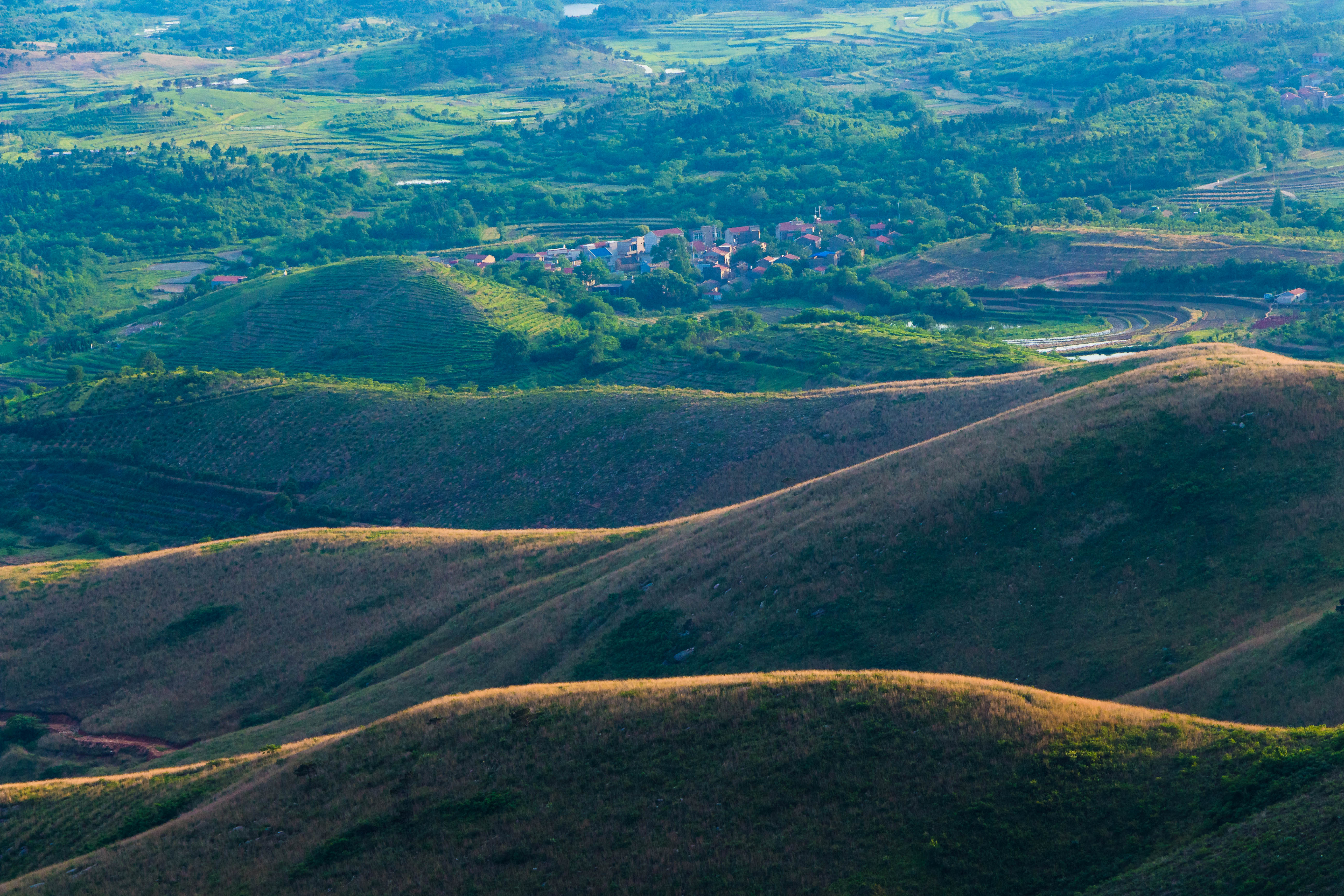 龙王尖遗址游玩攻略,武汉龙王尖在哪里
