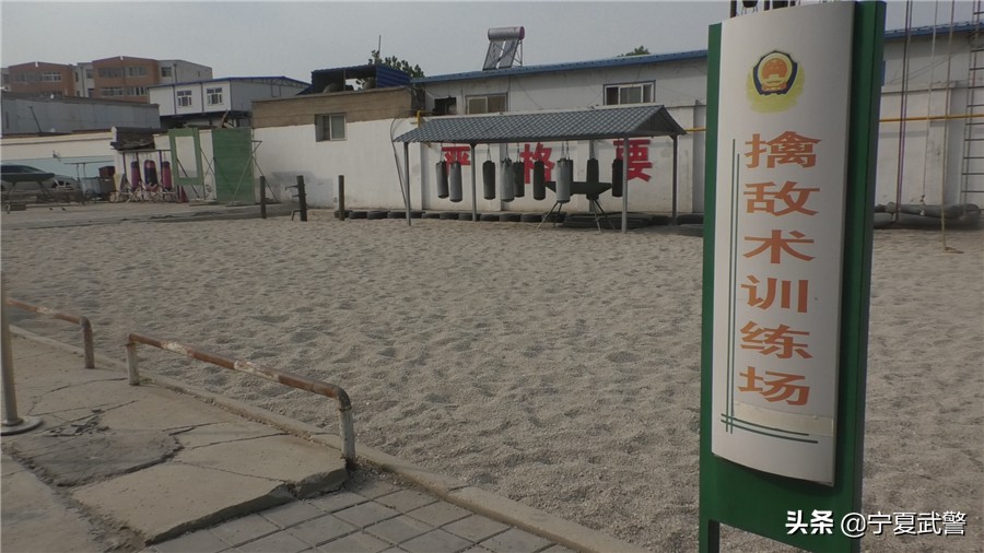 训练要求不严格的表现,训练场地受限怎么说