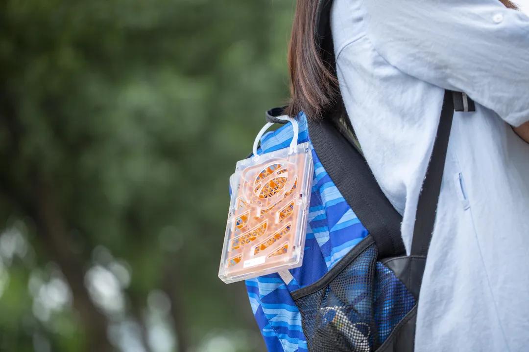 秒杀夏季防蚊折叠蚊帐,日本驱蚊隐形蚊帐