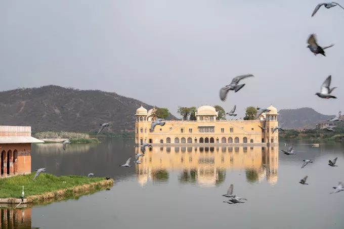 印度这座老城，房子都是粉色，去亚洲最豪华电影院只要几十元