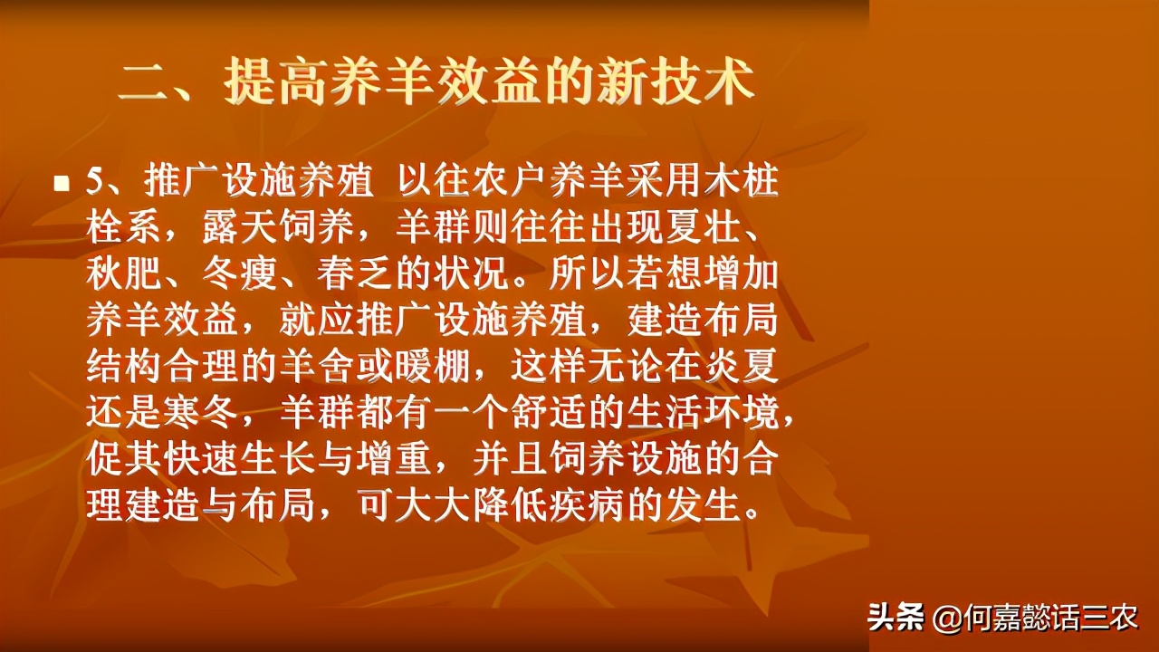 何嘉懿讲兽医养殖技术,何嘉懿的养殖方法