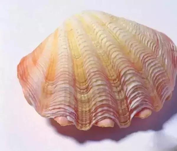 玩玉人的五个特征,玩玉之人最深度解析