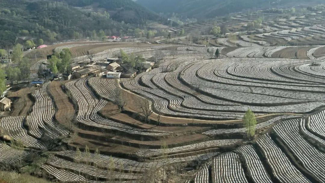 被称为上帝的指纹的图形,上帝的指纹景区