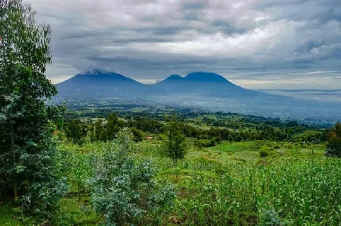 非洲小国卢旺达：与中国密切合作，经济发展快，看不到任何脏乱差