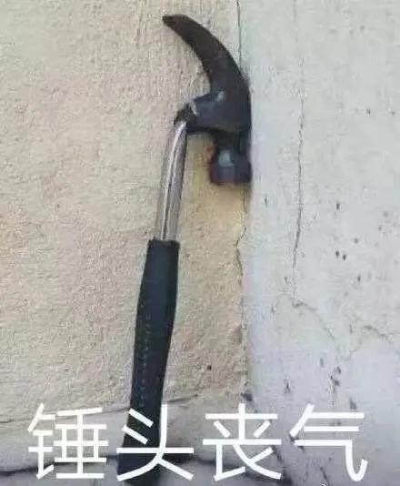 慎报和不宜录取,慎招院校