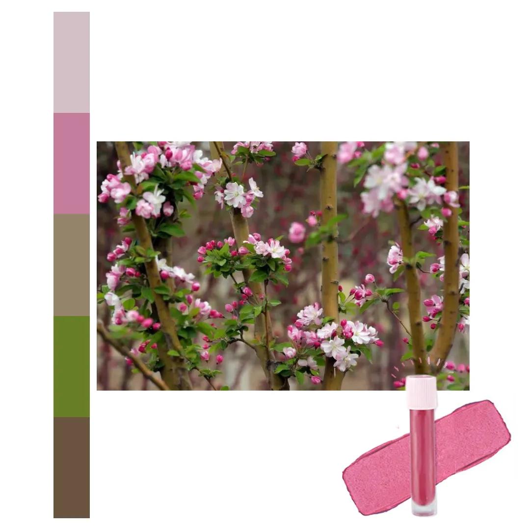 鐩存挱閭兏娌冲寳宸ョ▼澶у,娌冲寳宸ョ▼澶у缇庡