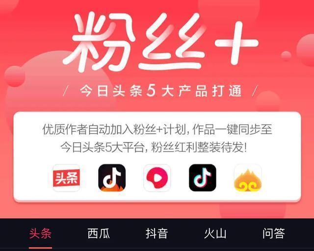 教你如何快速获得*今条头日**粉丝