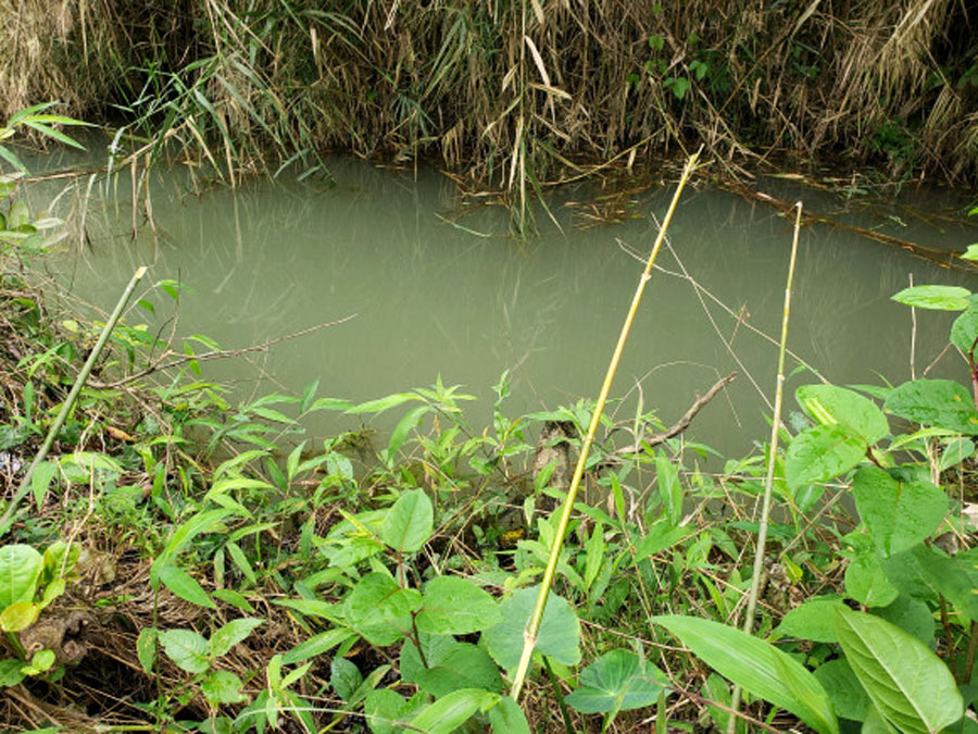 夜钓小河七星漂,夜钓小河沟用路亚