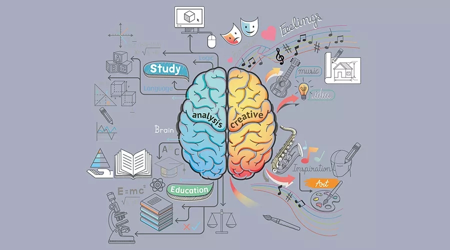 dha缺乏对智商影响有多大,dha是真的能补脑还是骗人的