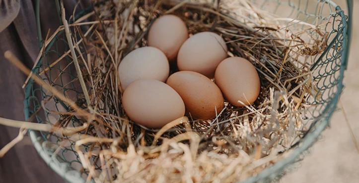 小程序快速赚很多钱的游戏,微信小程序小游戏收益