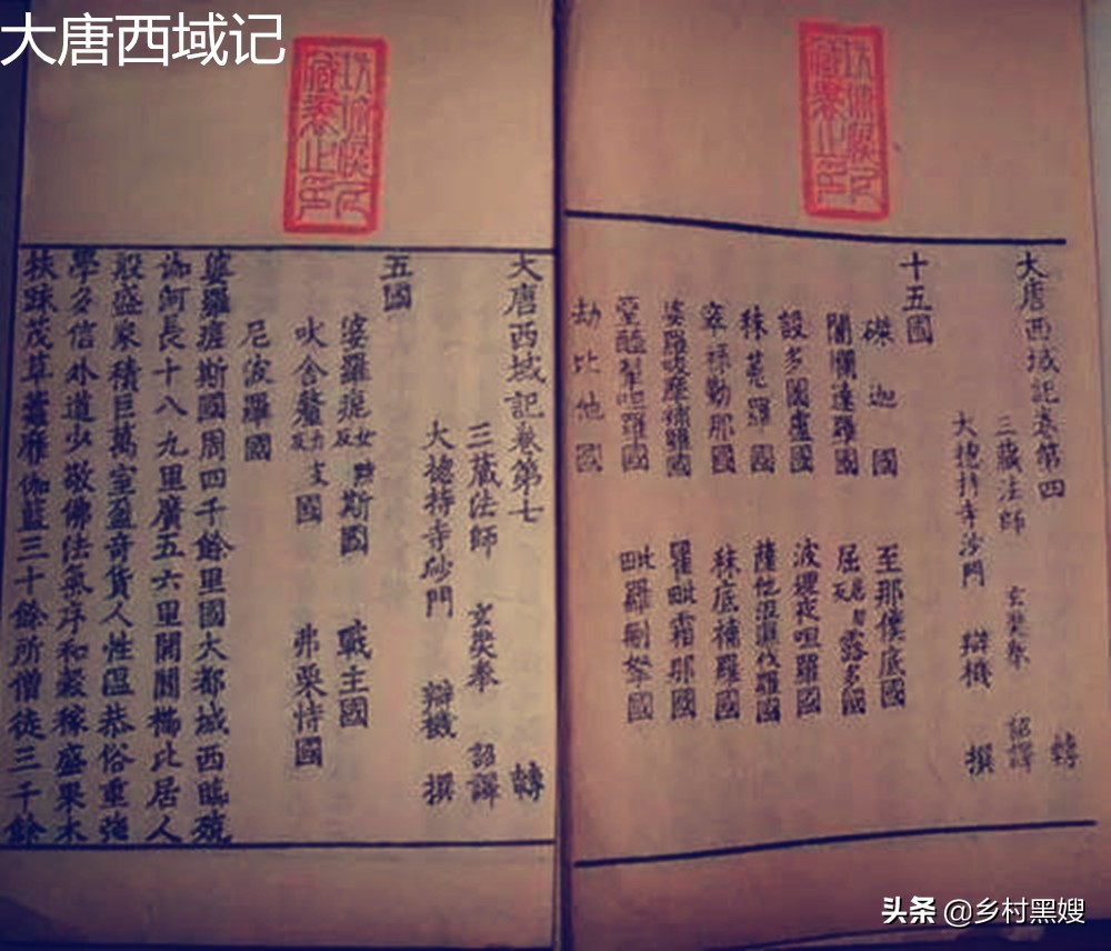 梨是从哪里来的,梨是怎么长出来的视频