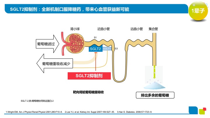 肾病患者的福音：SGLT2*制剂抑**，慢性肾脏病治疗的“新*器武**”