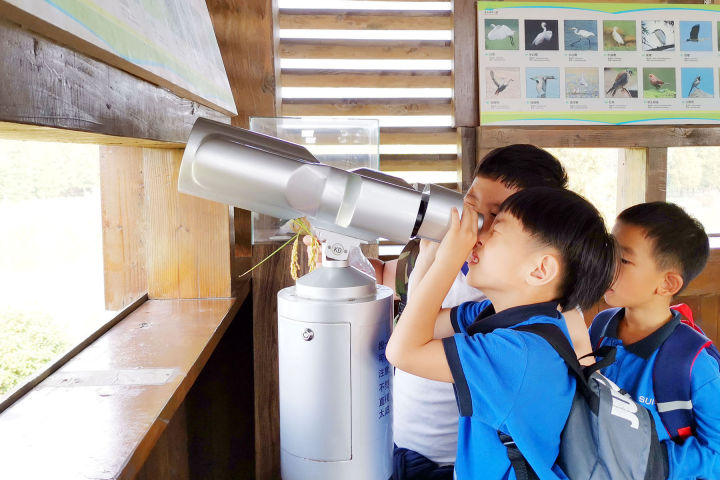 国际特色双语学校,打造高端国际化双语学校