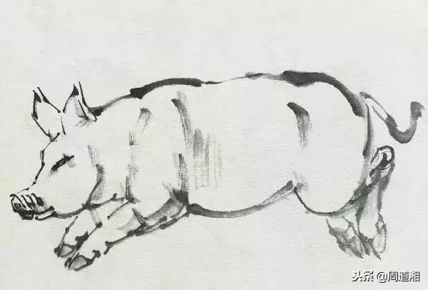 国画工笔猪图片,大写意画猪国画作品