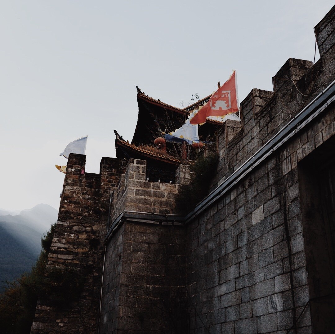 十二星座智商最高的五大星座,智商高却不会玩心机的星座