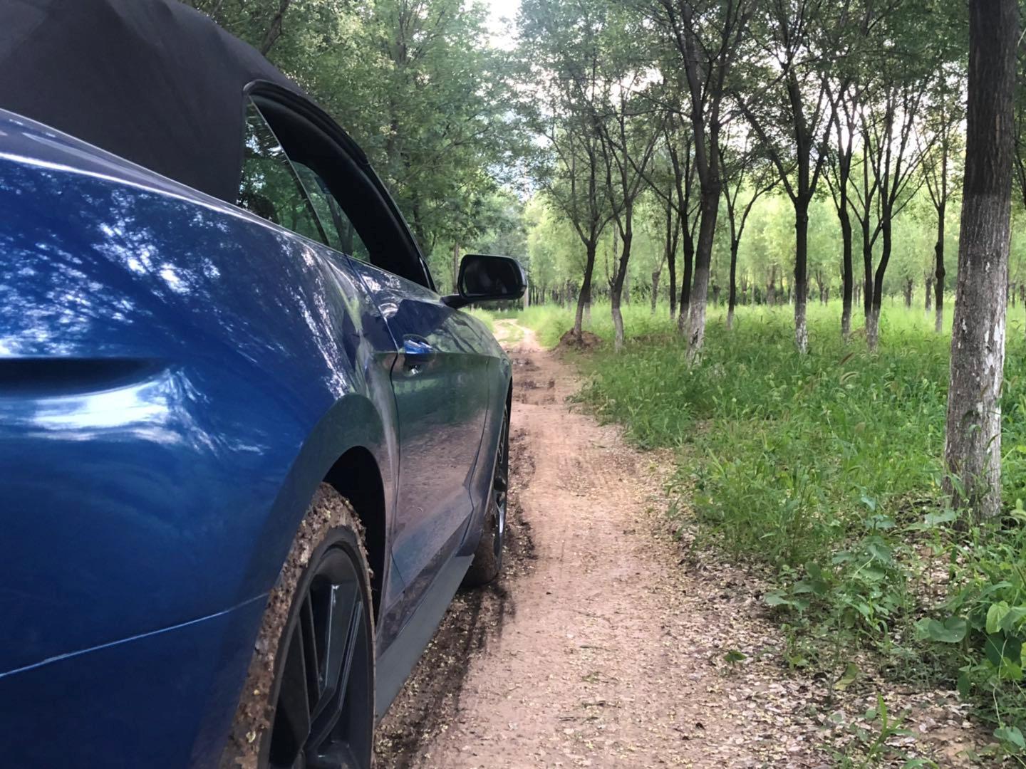 野马还是野驴,野马2.3t小野驴