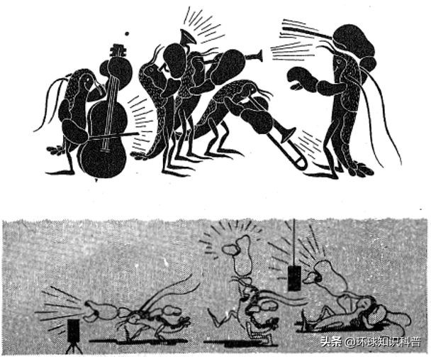 「科普」这种小虾能“袭击”军舰，我们成功缴获了它的*器武**