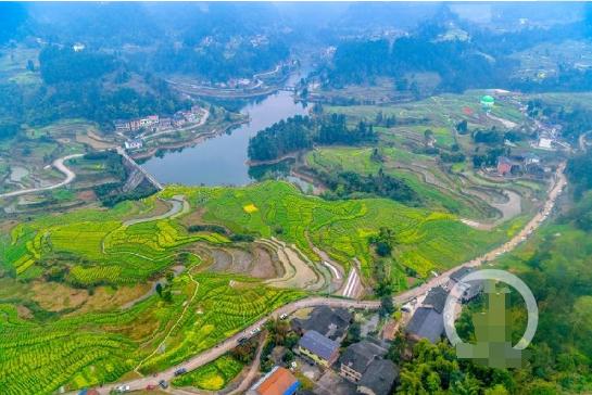 每天一县:重庆市巴南区